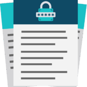 Weak Password Report Icon groß