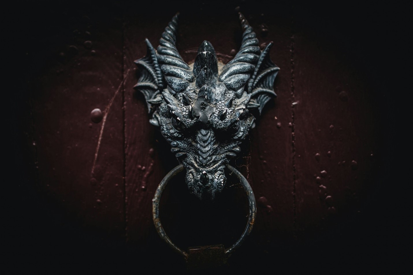 Grey dragon head on door