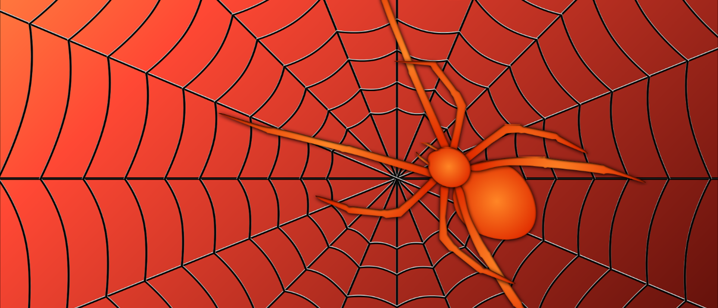 red spider with spider web
